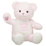 Embroidered Baby Pink Teddy Bear | Build-A-Bear® - US 2332