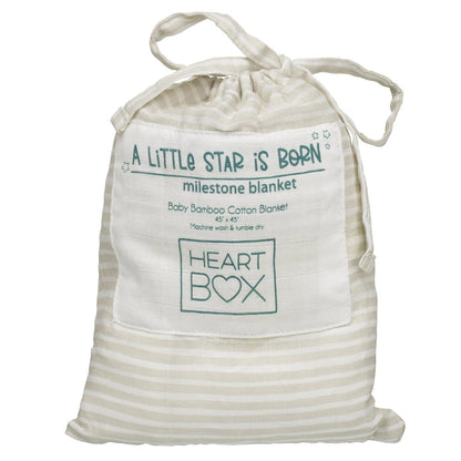 Monthly Milestone Baby Blanket | Build-A-Bear® - US 9652