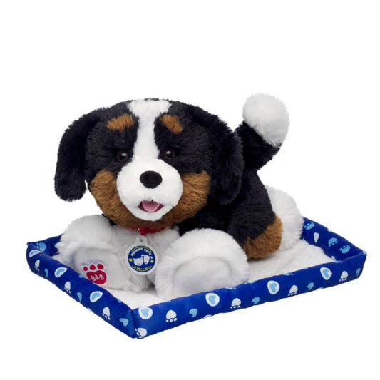 Promise Pets Bernese Mountain Dog Stuffed Animal w/ Blue Bed | Build-A-Bear - US 8549