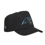 Carolina Panthers Fan Hat for Stuffed Animals - US 1263