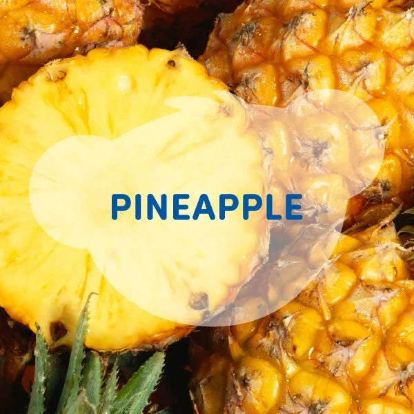 SCENTiments™ Fresh Pineapple Scent for Stuffed Animals | Build-A-Bear® - US 2126