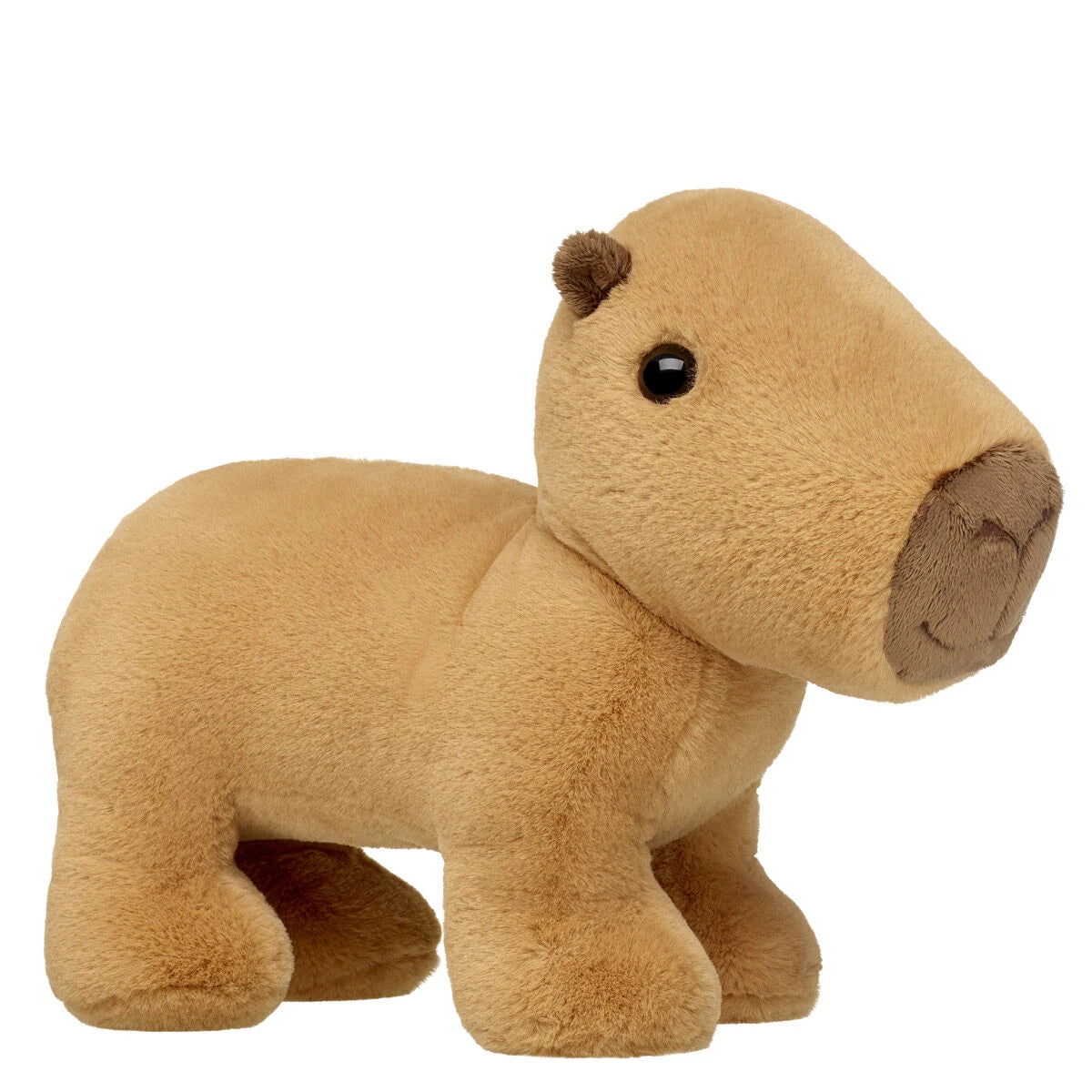 Capybara Stuffed Animal | Build-A-Bear® - US 7578